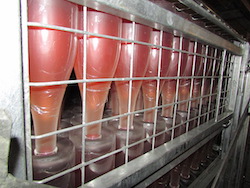 Wir freuen uns bereits heute auf diese roséfarbenen Champagner bei uns im Weinladen in Stuttgart. 