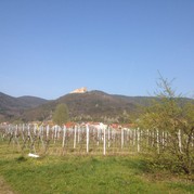 Eine tolle Kulisse - das Hambacher Schloss