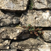 Impressionen der Natur in der Bourgogne