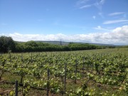 Wein in Stuttgart, Weinreise Champagner Louis Bartélélemy, seine Cru-Lagen