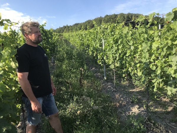 Demeter-Weine bei uns im Wein-Musketier Stuttgart kaufen - Jochen Beurer aus dem Remstal