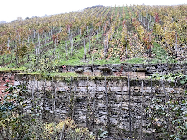 Das Team Wein-Musketier Stuttgart zum Winzerbesuch beim Weingut Ratzenberger in Bacharach - sein Riesling und Sekt im Wein-Musketier Stuttgart