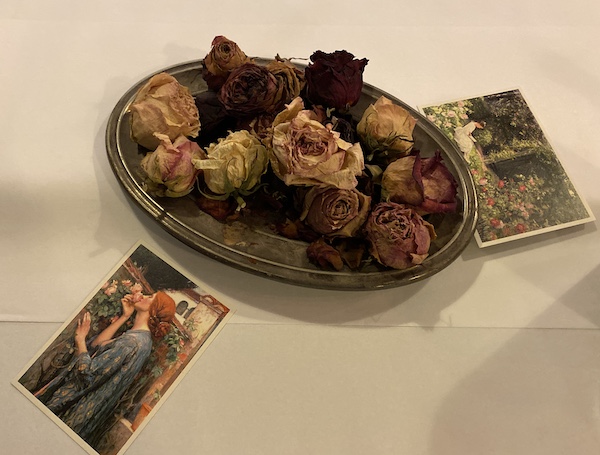 Weinseminare in Stuttgart auch für Frauen. Besuchen Sie unsere Weinveranstaltungen in Degerloch