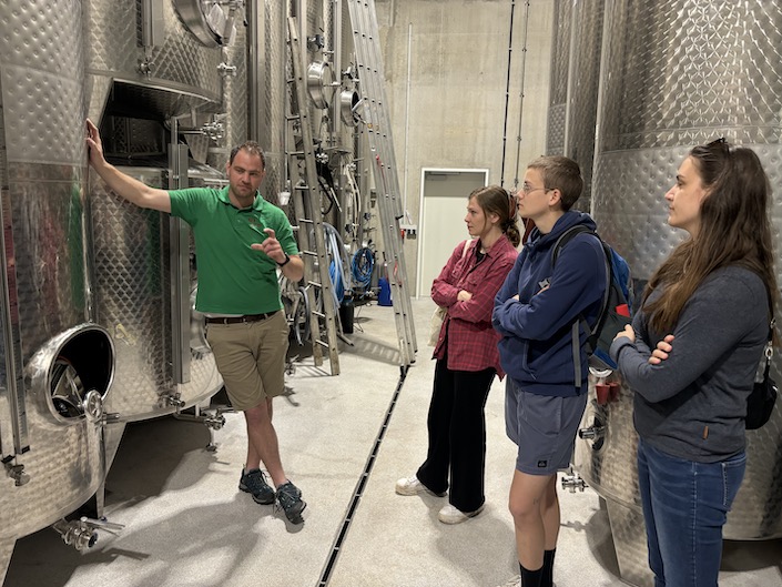 Bioweine von David Klenert, dem ersten Klimawinzer Deutschlands bei Ihrem Wein-Musketier, Ihrem Weinladen in Stuttgart Wein kaufen