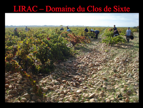 2014 Lirac AC „Clos de Sixte“ in Stuttgarts Weinladen kaufen