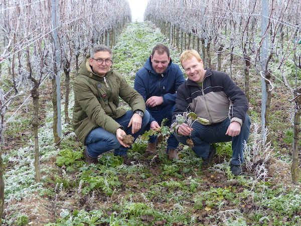 Kraichtaler David Klenert mit Hilfe aus Oberschwaben erster deutscher Klima-Winzer! Weinprobe bei Ihrem Wein-Musketier! Wein kaufen Kraichtaler David Klenert mit Hilfe aus Oberschwaben erster deutscher Klima-Winzer! Weinprobe bei Ihrem Wein-Musketier! Wein kaufen