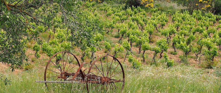 Weinprobe Weine aus Frankreich in Stuttgart beim Wein-Musketier, Ihrem Weinladen mit Herz von Guido Keller